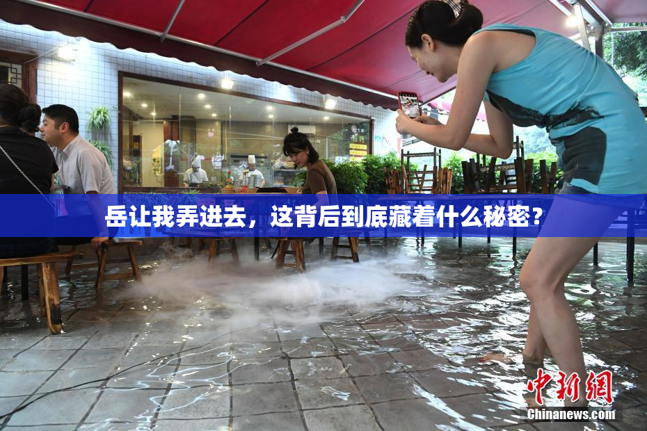 岳让我弄进去，这背后到底藏着什么秘密？