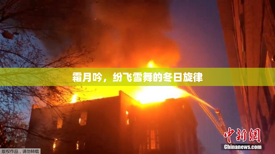 霜月吟，纷飞雪舞的冬日旋律