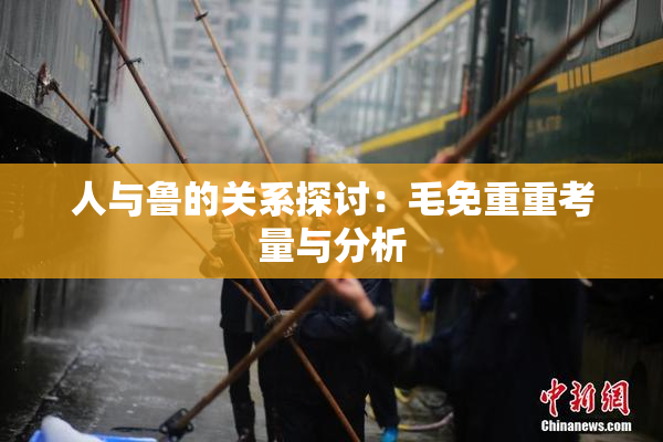 人与鲁的关系探讨：毛免重重考量与分析