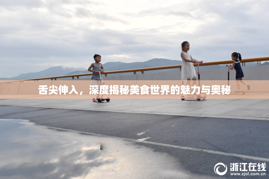 舌尖伸入，深度揭秘美食世界的魅力与奥秘