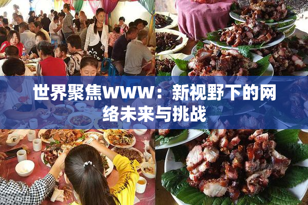 世界聚焦WWW：新视野下的网络未来与挑战