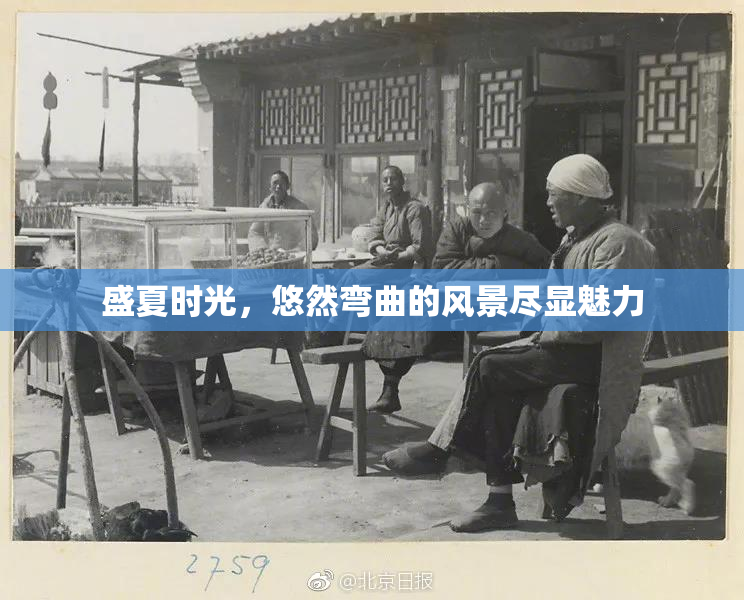 盛夏时光，悠然弯曲的风景尽显魅力