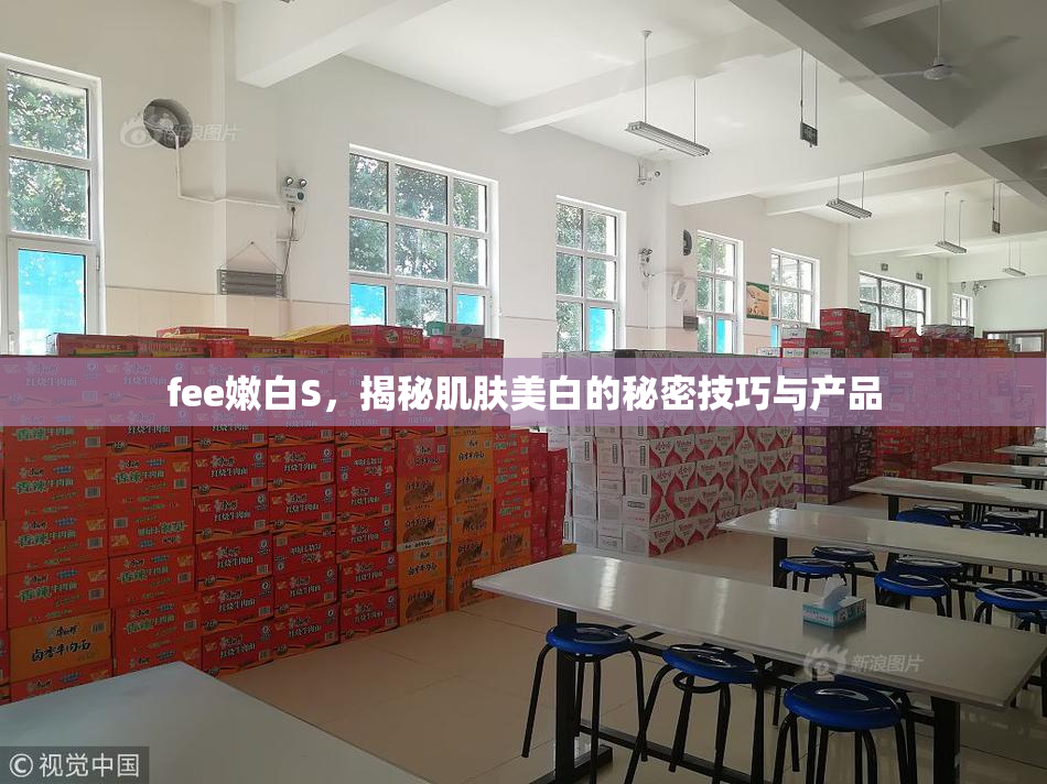 fee嫩白S，揭秘肌肤美白的秘密技巧与产品