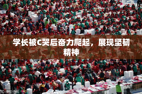 学长被C哭后奋力爬起，展现坚韧精神