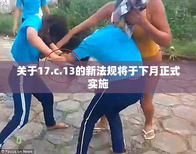 关于17.c.13的新法规将于下月正式实施