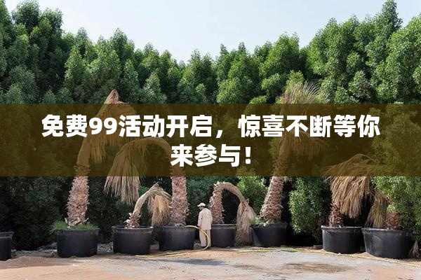 免费99活动开启，惊喜不断等你来参与！