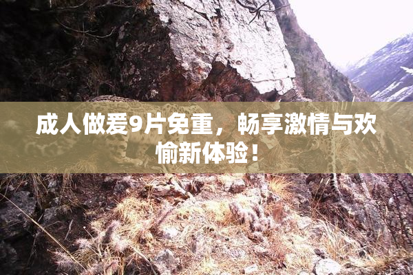 成人做爰9片免重，畅享激情与欢愉新体验！