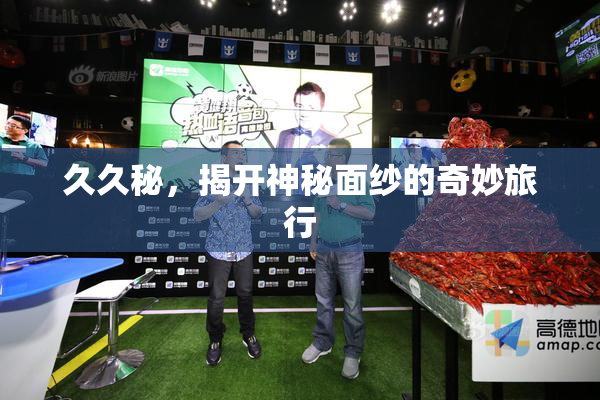 久久秘，揭开神秘面纱的奇妙旅行