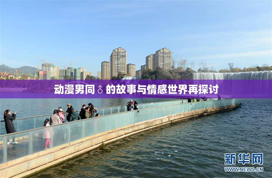 动漫男同♂的故事与情感世界再探讨
