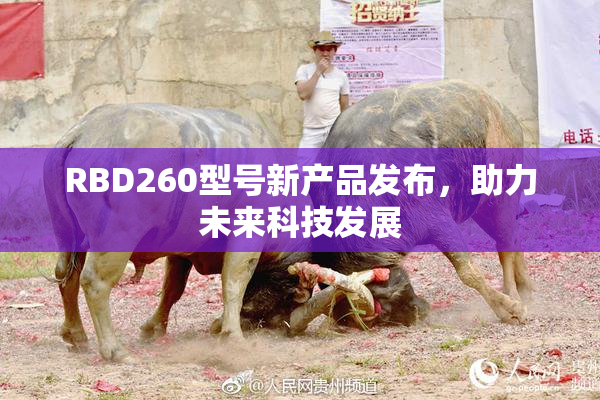 RBD260型号新产品发布，助力未来科技发展