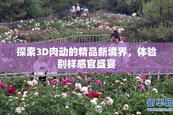 探索3D肉动的精品新境界，体验别样感官盛宴