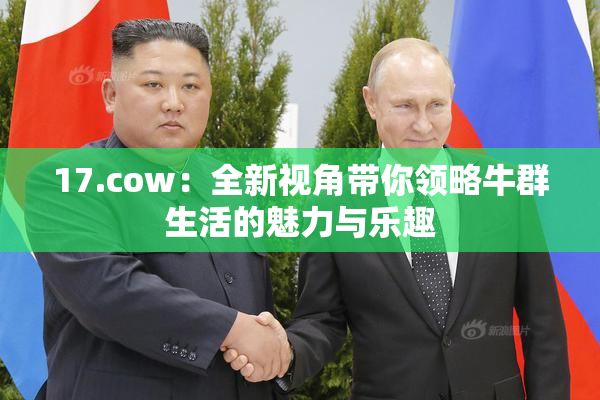 17.cow：全新视角带你领略牛群生活的魅力与乐趣
