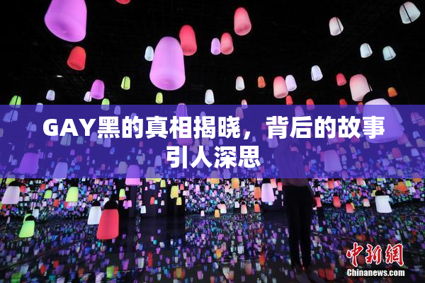 GAY黑的真相揭晓，背后的故事引人深思