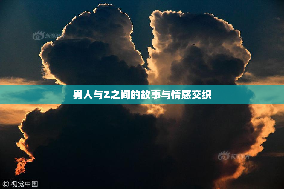 男人与Z之间的故事与情感交织