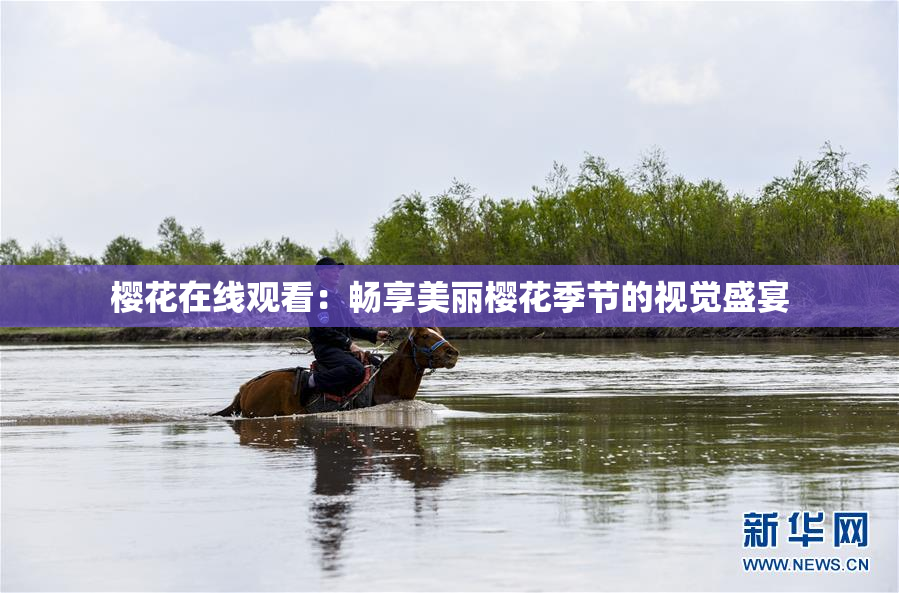 樱花在线观看：畅享美丽樱花季节的视觉盛宴