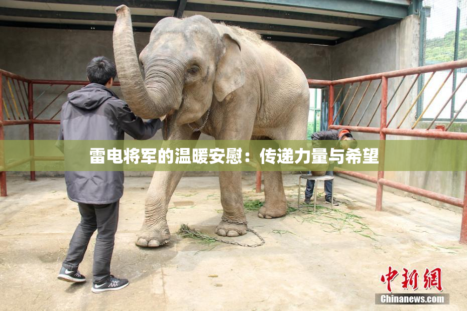 雷电将军的温暖安慰：传递力量与希望