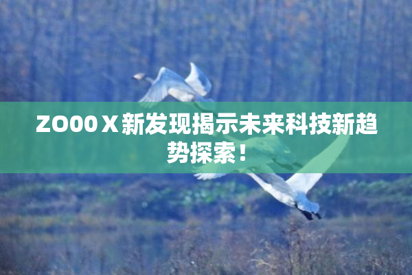 ZO00Ⅹ新发现揭示未来科技新趋势探索！