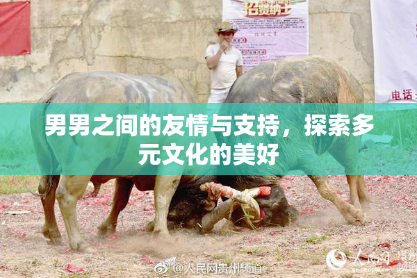男男之间的友情与支持，探索多元文化的美好