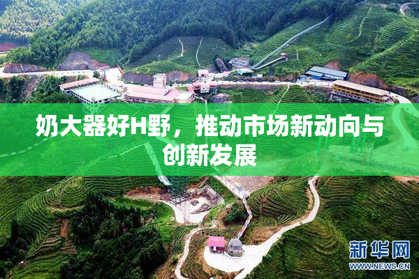 奶大器好H野，推动市场新动向与创新发展