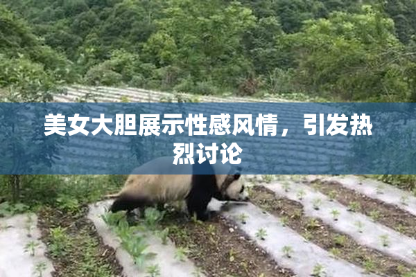 美女大胆展示性感风情，引发热烈讨论