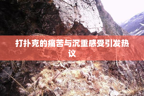 打扑克的痛苦与沉重感受引发热议