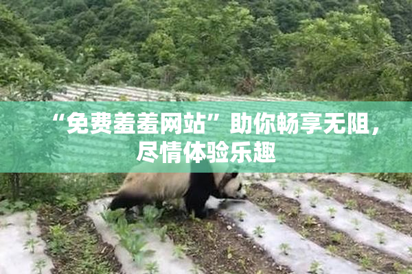 “免费羞羞网站”助你畅享无阻，尽情体验乐趣
