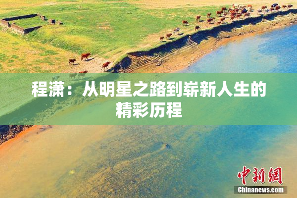 程潇：从明星之路到崭新人生的精彩历程