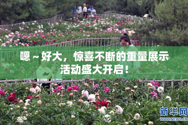 嗯～好大，惊喜不断的重量展示活动盛大开启！