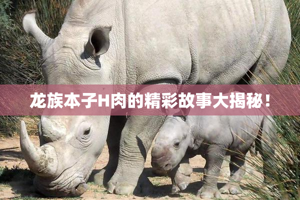 龙族本子H肉的精彩故事大揭秘！