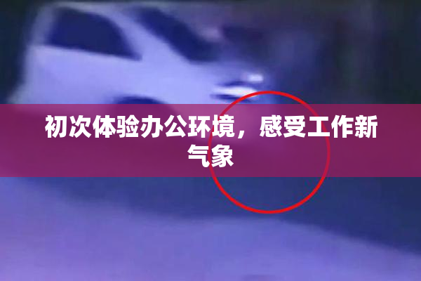 初次体验办公环境，感受工作新气象