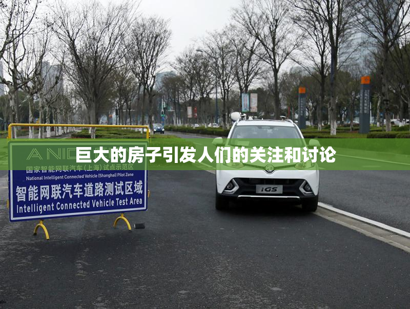 巨大的房子引发人们的关注和讨论