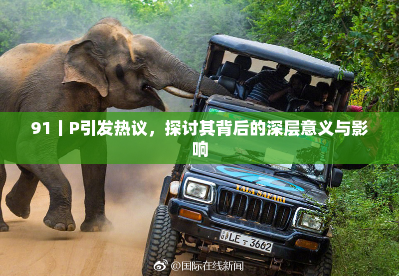 91丨P引发热议，探讨其背后的深层意义与影响