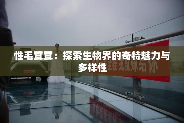 性毛茸茸：探索生物界的奇特魅力与多样性
