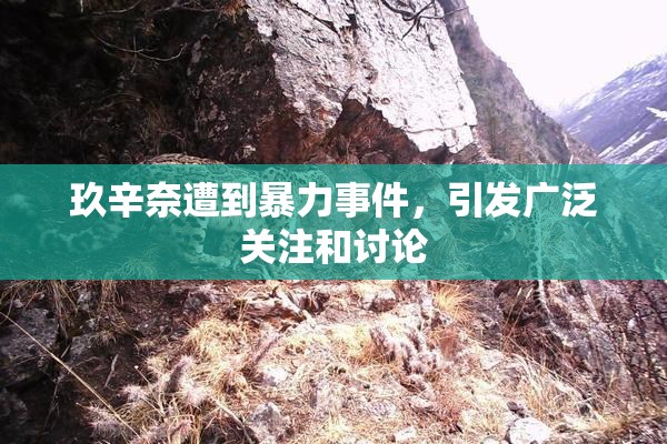 玖辛奈遭到暴力事件，引发广泛关注和讨论