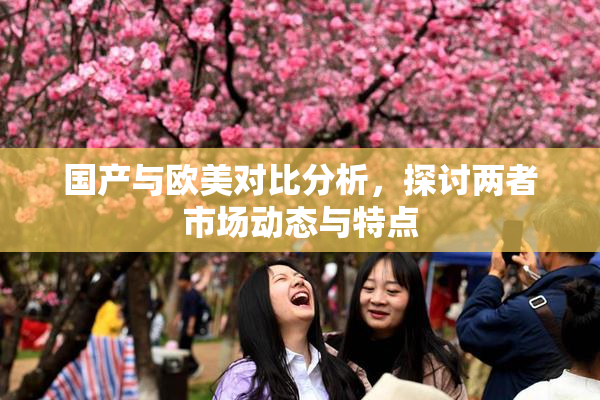 国产与欧美对比分析，探讨两者市场动态与特点