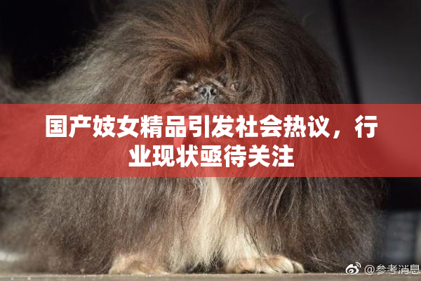 国产妓女精品引发社会热议，行业现状亟待关注