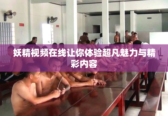 妖精视频在线让你体验超凡魅力与精彩内容