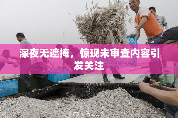 深夜无遮掩，惊现未审查内容引发关注
