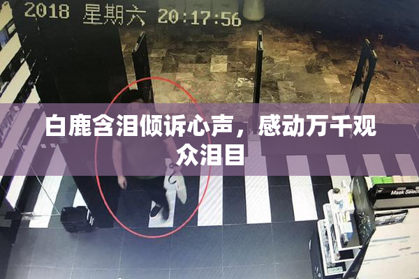 白鹿含泪倾诉心声，感动万千观众泪目