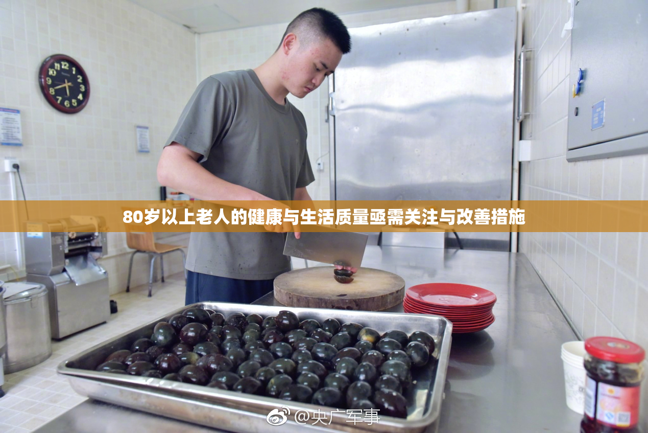 80岁以上老人的健康与生活质量亟需关注与改善措施