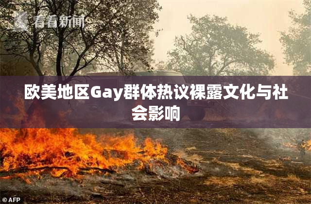 欧美地区Gay群体热议裸露文化与社会影响