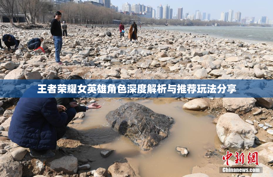 王者荣耀女英雄角色深度解析与推荐玩法分享