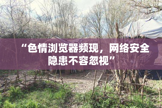 “色情浏览器频现，网络安全隐患不容忽视”