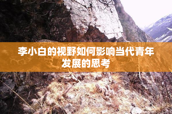 李小白的视野如何影响当代青年发展的思考