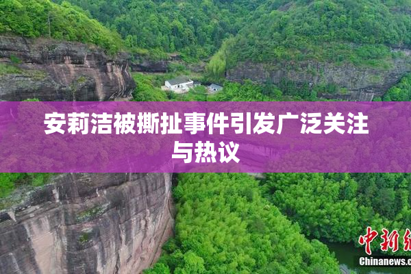 安莉洁被撕扯事件引发广泛关注与热议