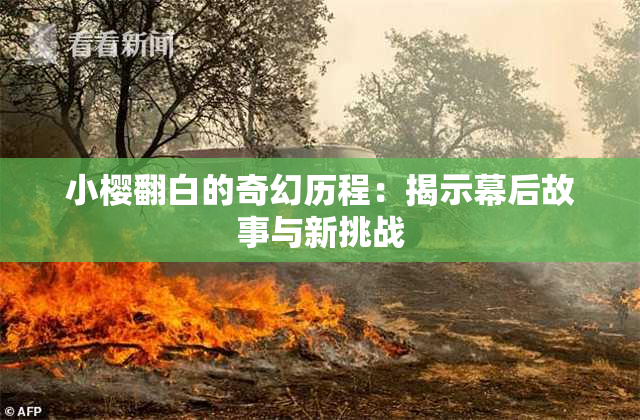 小樱翻白的奇幻历程：揭示幕后故事与新挑战