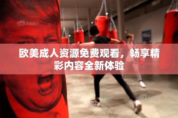 欧美成人资源免费观看，畅享精彩内容全新体验