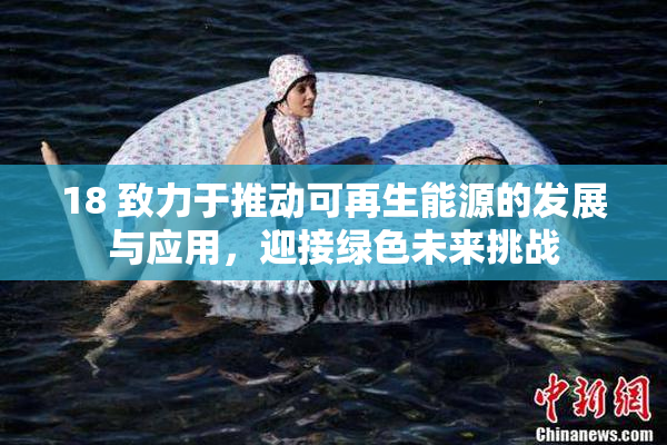 18 致力于推动可再生能源的发展与应用，迎接绿色未来挑战