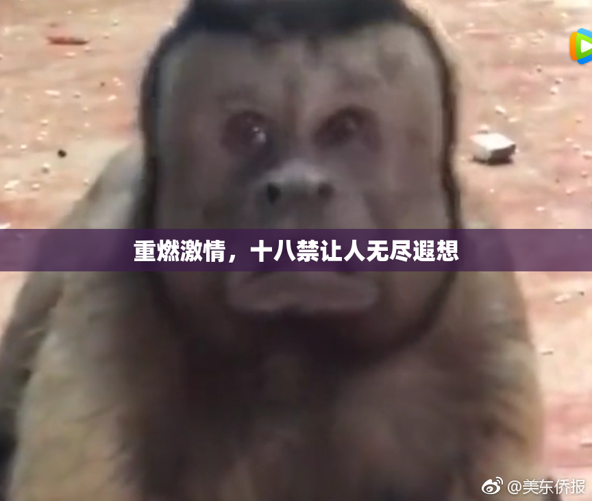 重燃激情，十八禁让人无尽遐想
