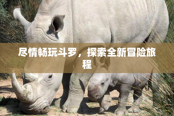 尽情畅玩斗罗，探索全新冒险旅程